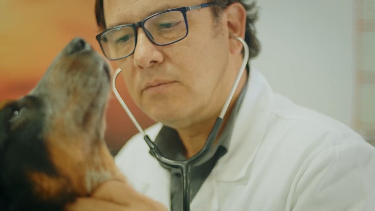 Dr. Marcelo Jofré — Dermatólogo Veterinario Dermavet
